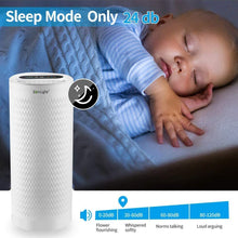 Load image into Gallery viewer, Air Purifiers For Home, Zenlyfe Large Room up to 1200 sq.ft, H13 True HEPA Filter Air Cleaner, Remove 99.97% Allergies/Dust/Smoke/Mold/Pollen