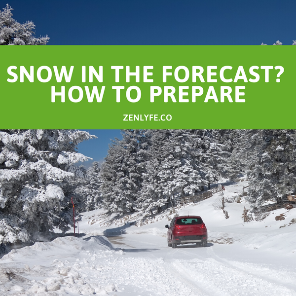 Snow in the Forecast? How to Prepare and Stay Safe