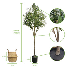 Load image into Gallery viewer, The Hillary Style Artificial Olive Tree Fake Potted Olive Plant with Super Dense Olive Branches and Olive Fruits for Indoor Decor Outdoor Modern Home Office Living Room Office Gift, 70.9 Inch